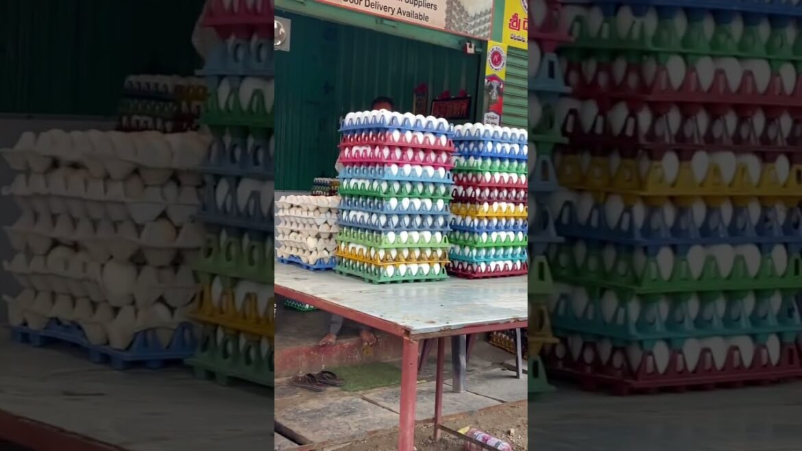 “2025 కోసం Trending Business Ideas 🔥 #FutureBusiness #TeluguMotivation #Shorts”