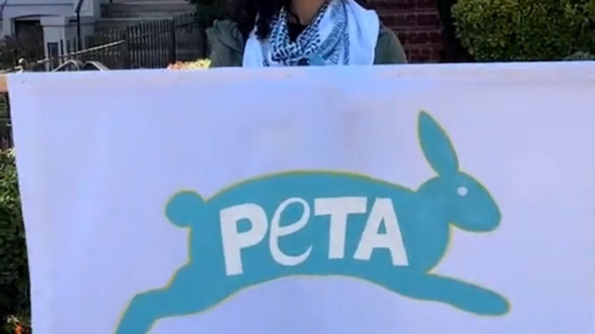 Activists protest PETA’s ‘silence’ over Israel’s killing of animals | Gaza