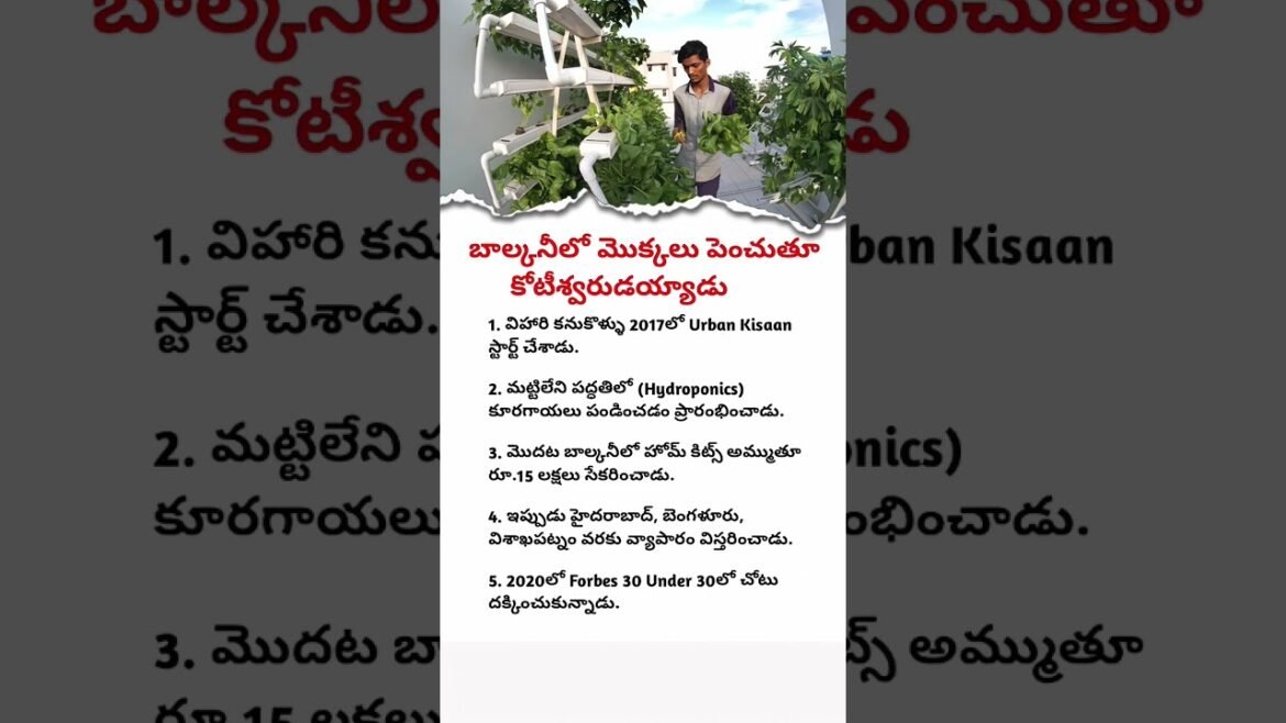 Business Success Story | Urban Kisan Success Story | Business Tips#business