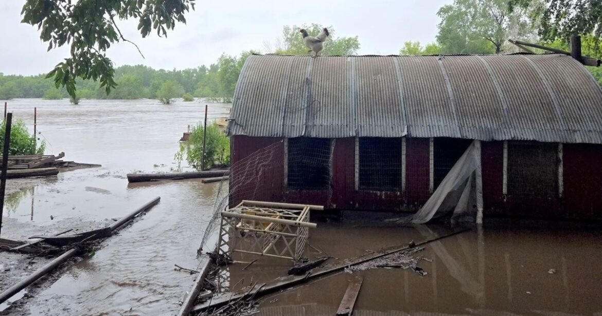 For at Least One Small Iowa Rancher, This Shutdown May Prove the Final Straw – Mother Jones