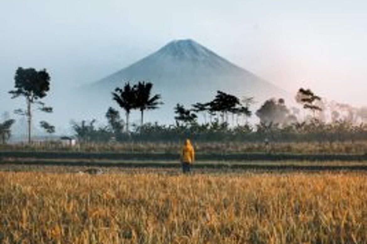 How to Start Forex Trading in Indonesia • Forex Strategies • Benzinga