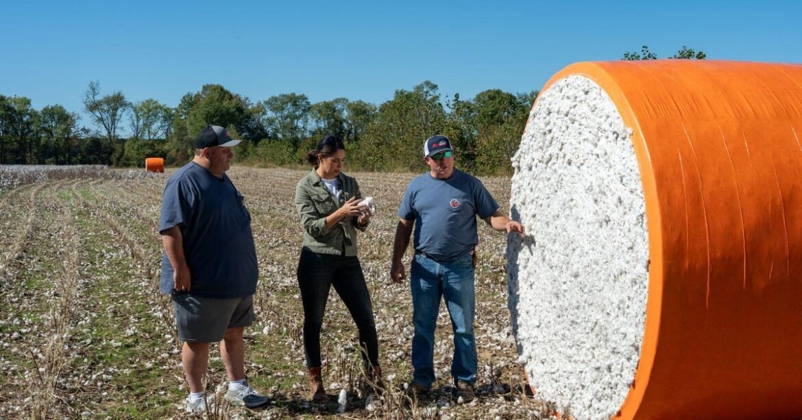Losing the farm is a real fear for American farmers facing severe financial hardship