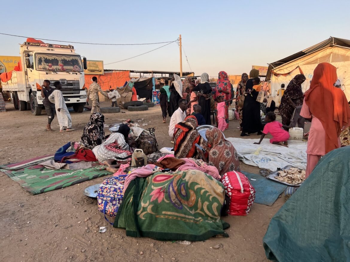 New light shed on el-Fasher horror as survivors arrive in Sudan’s Tawila | Sudan war News
