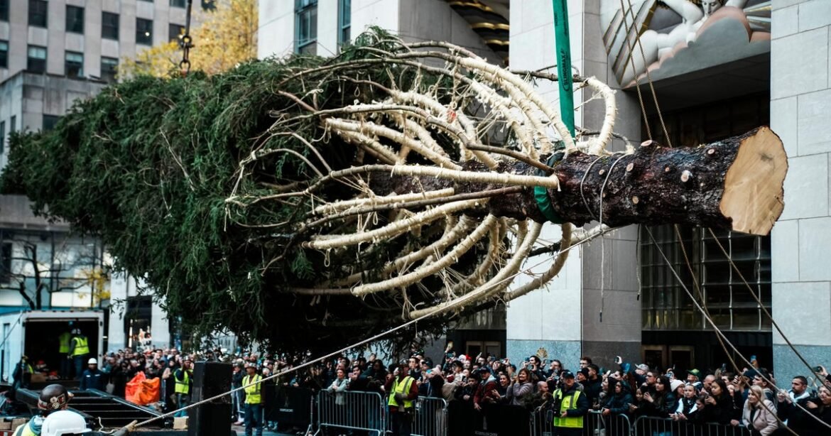 Rockefeller Center Christmas tree arrives in New York City to usher in holidays