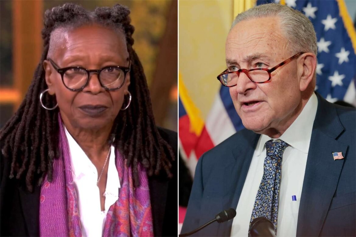 'The View' cohosts go on tirade ripping 'idiots' in government shutdown