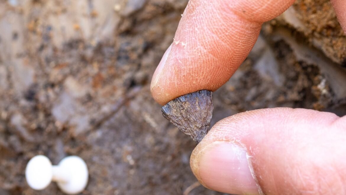 When did humans start making fires? A new study finds the earliest evidence yet : NPR