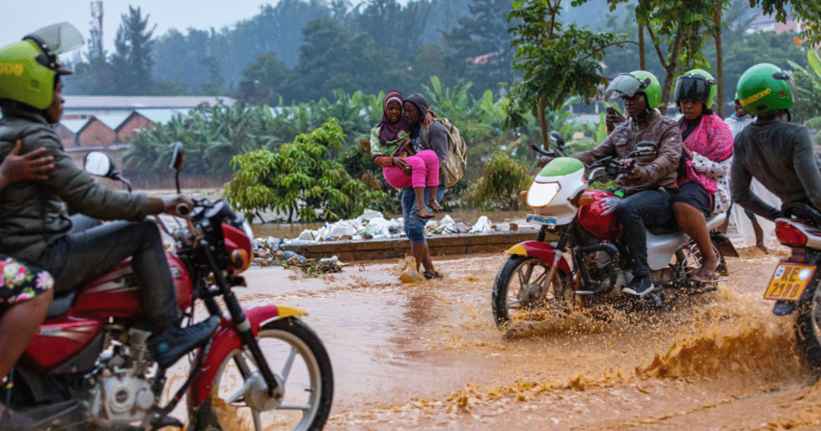 A Flood-Plagued African City Sets Out to Reengineer Its Wetlands – Mother Jones
