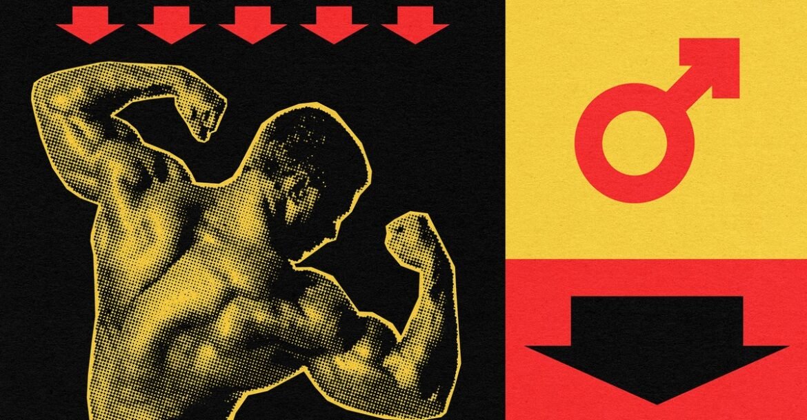 America’s Testosterone Levels Are Probably Fine