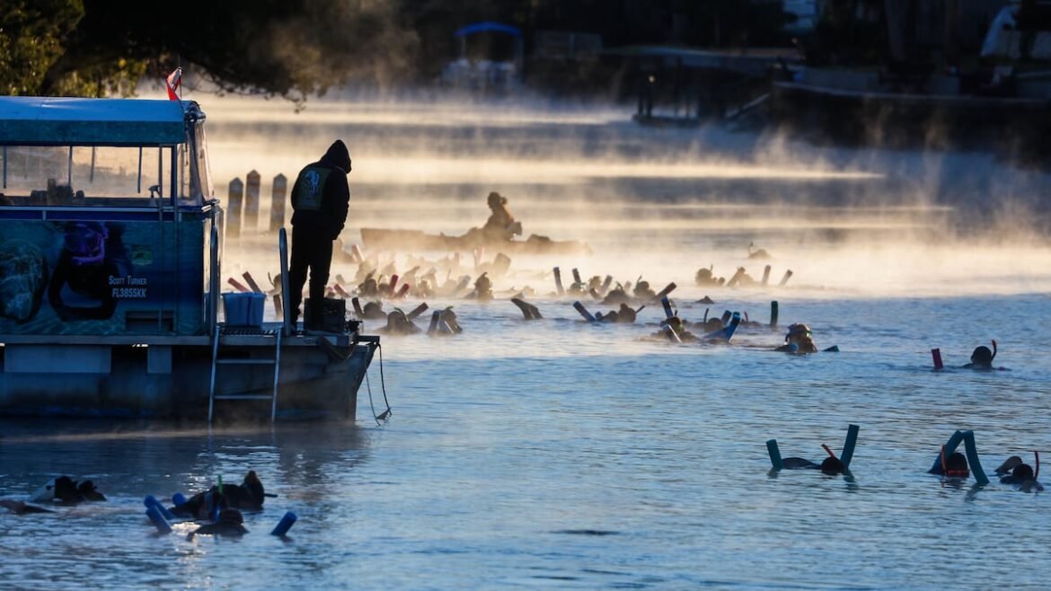 As massive winter storm freezes US, will Florida and Tampa Bay feel the cold?