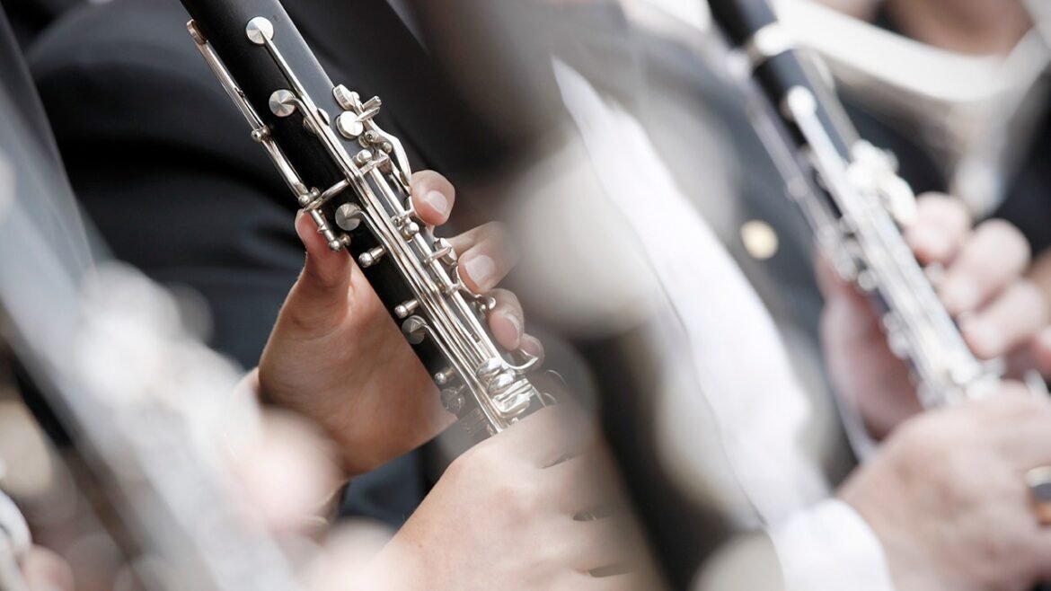 Clarinet player sues Knoxville Symphony over alleged bias over DEI stance
