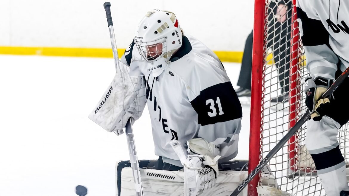 Clifton defeats Tenafly - Boys ice hockey recap