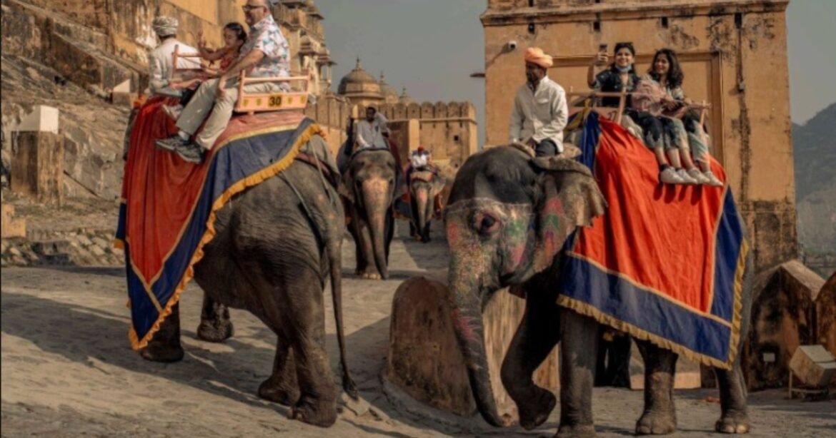 Divine Beasts in Bondage (2026) by Haider Khan Documentary Short Review