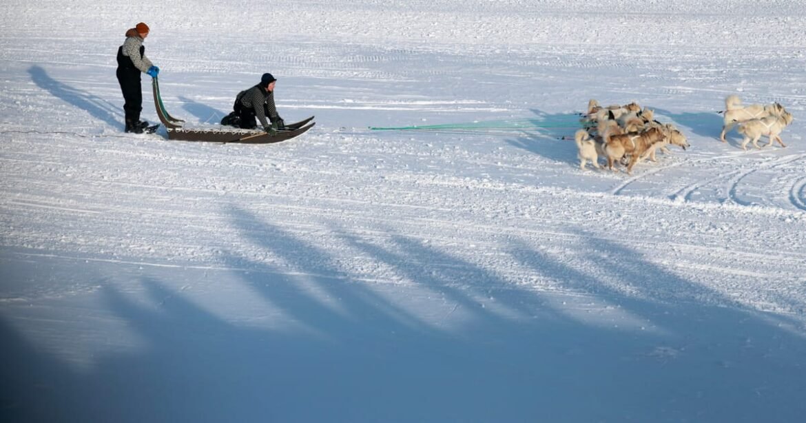 Dog sled race organizers probe rogue invite to Trump’s Greenland envoy – POLITICO