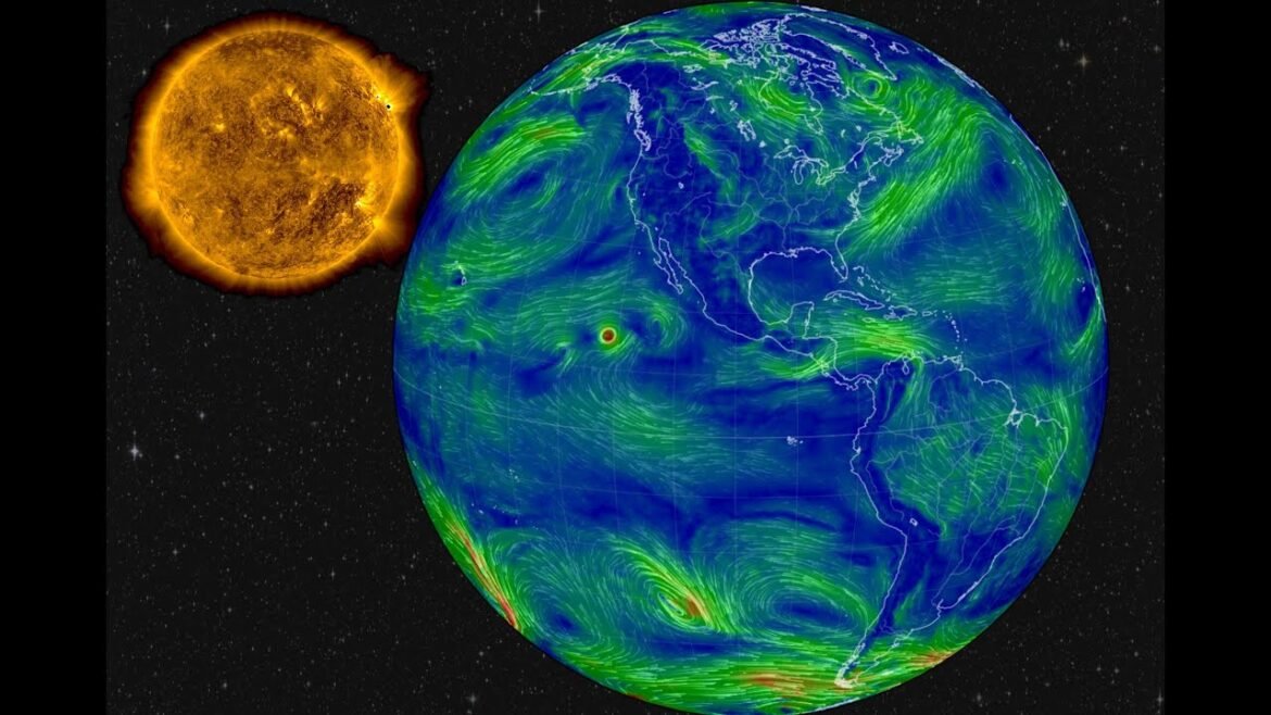 Matthew Shipley Live Stream