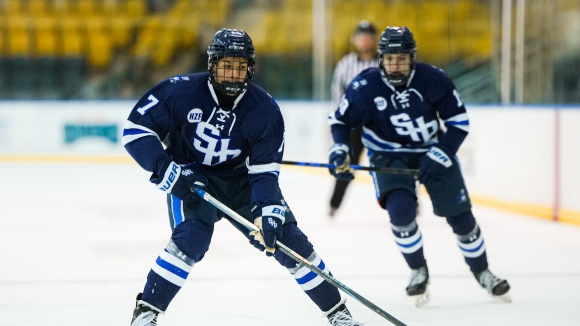 Mesler fuels No. 7 Seton Hall Prep’s win over Gloucester Cath. - Boys ice hockey recap