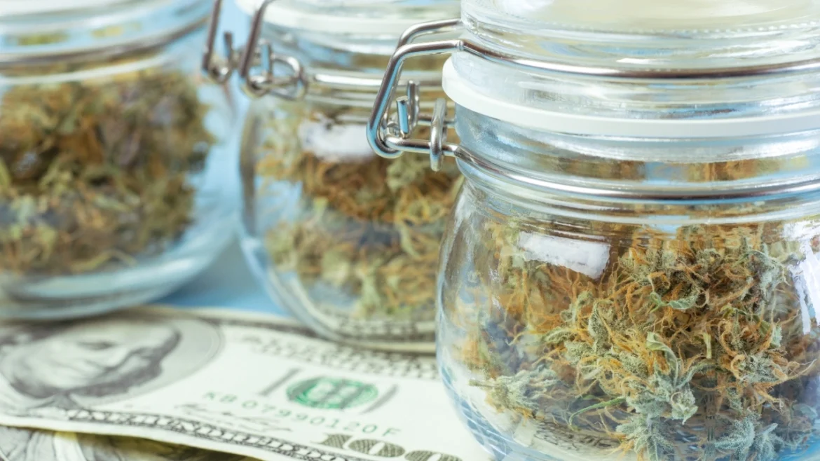 Image of three glass jars containing cannabis sitting atop a stack of $100 bills