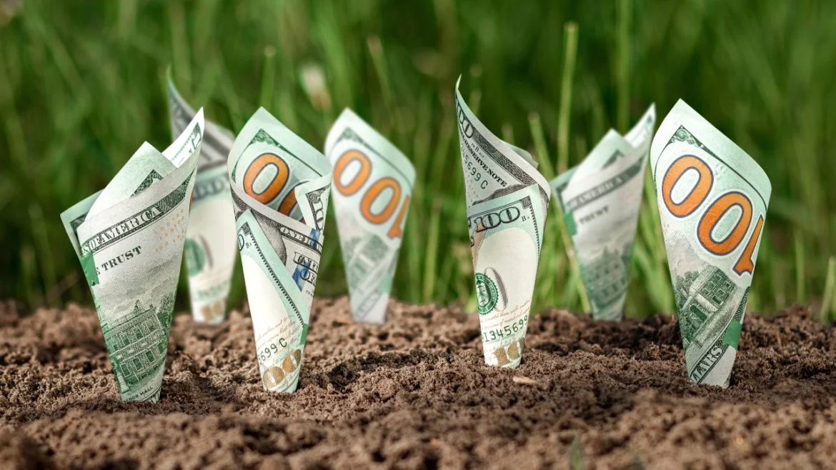 Image of $100 bills growing out of soil like plants