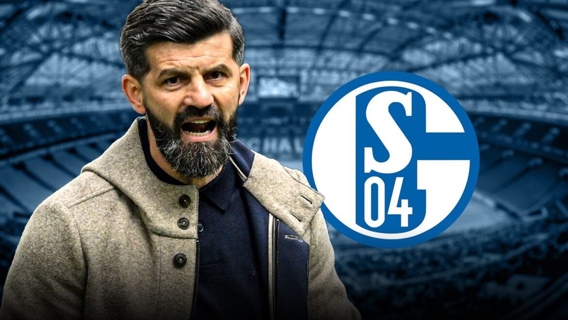 Schalke head coach Miron Muslic