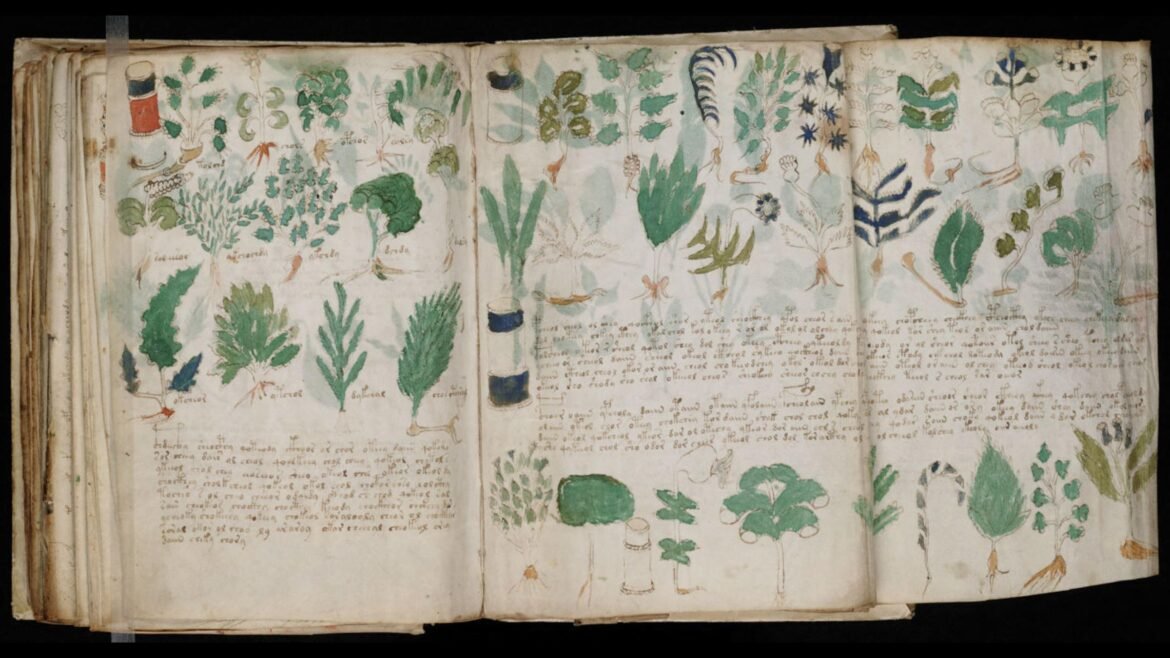 Mysterious Voynich manuscript may be a cipher, a new study suggests