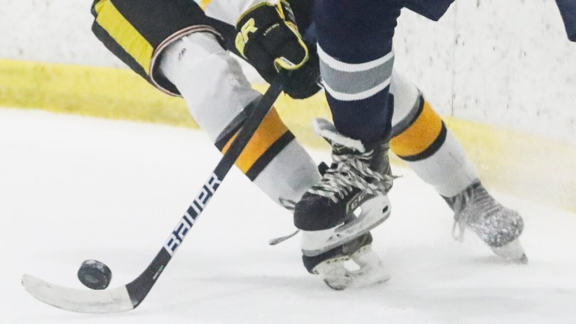 No. 12 Bridgewater-Raritan bests past No. 7 N. Highlands - Boys ice hockey recap