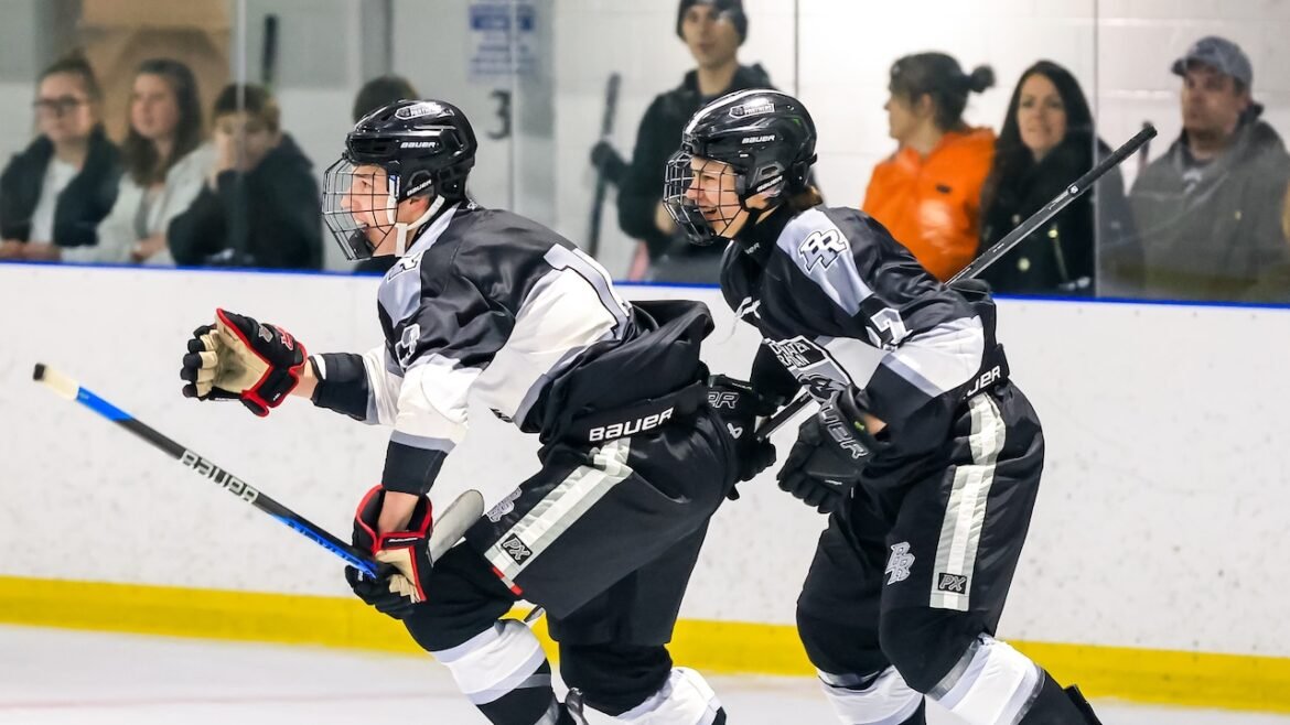 No. 12 Bridgewater-Raritan downs Hunterdon Central - Boys ice hockey recap