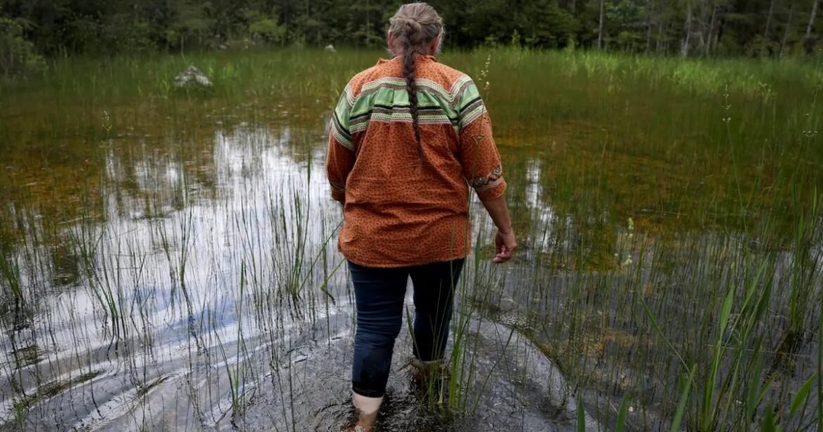 Out of Spite, Trump Used Veto Power to Punish Florida Tribe That Opposed “Alligator Alcatraz” – Mother Jones