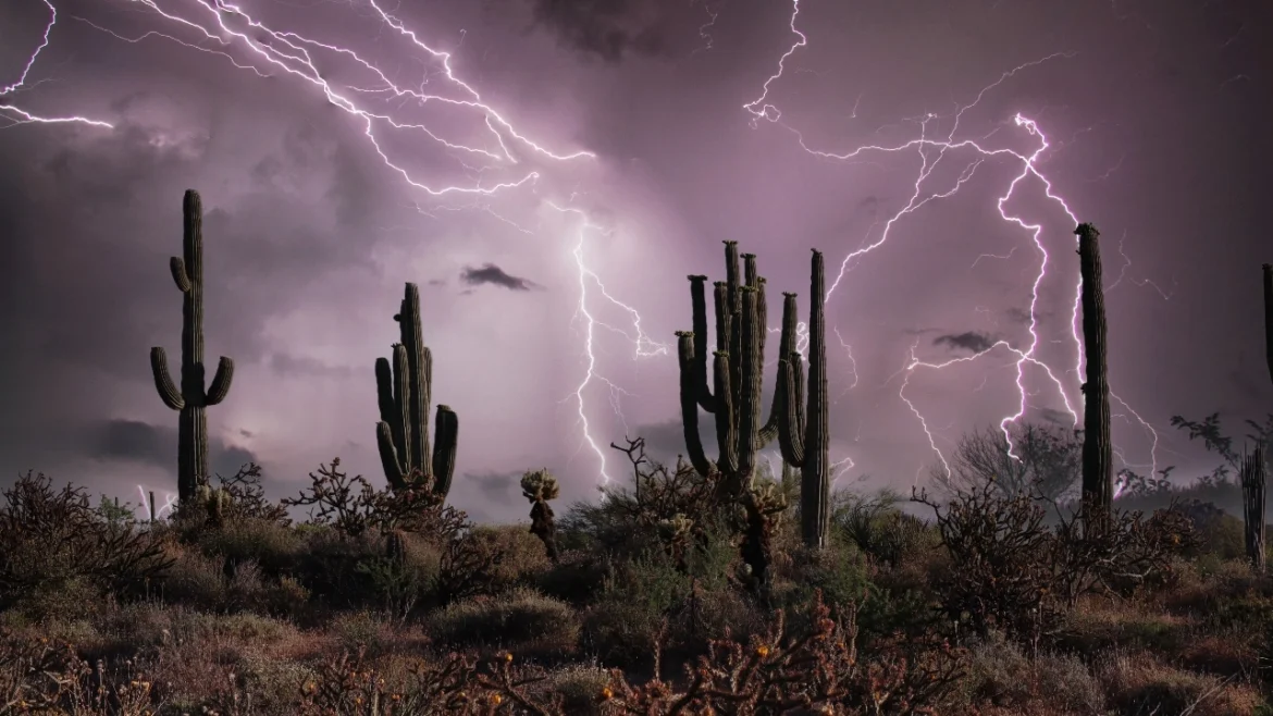Saguaro silhouetted in a lighting storm with a purple sky near Phoenix
