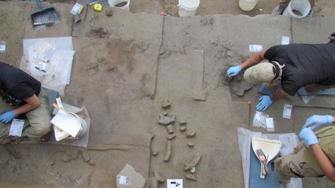 A photo of a rocky excavation site, with light brown rock covered in tools and signs. People on either end of the image use tools and wear blue gloves. 