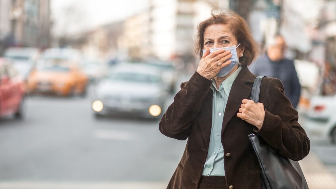 Alzheimer's risk could increase with air pollution exposure, new study shows