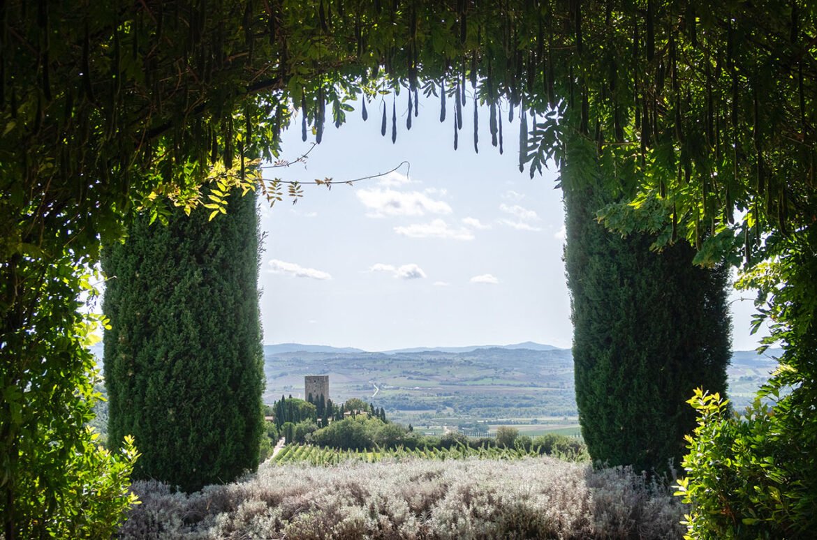 Brunello di Montalcino Vintage Report: The best of the 'intense' new 2021 wines