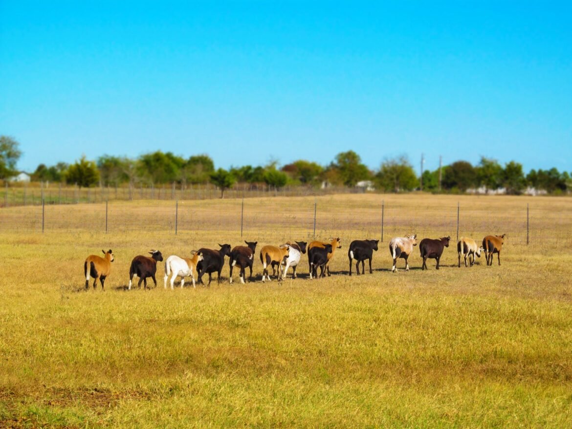 Farmers Brace for Another Rough Year