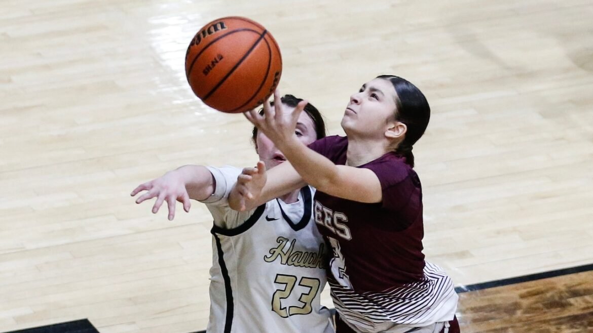 Girls basketball photos: Hudson County final - Bayonne vs. Hudson Catholic, Feb. 21, 2026