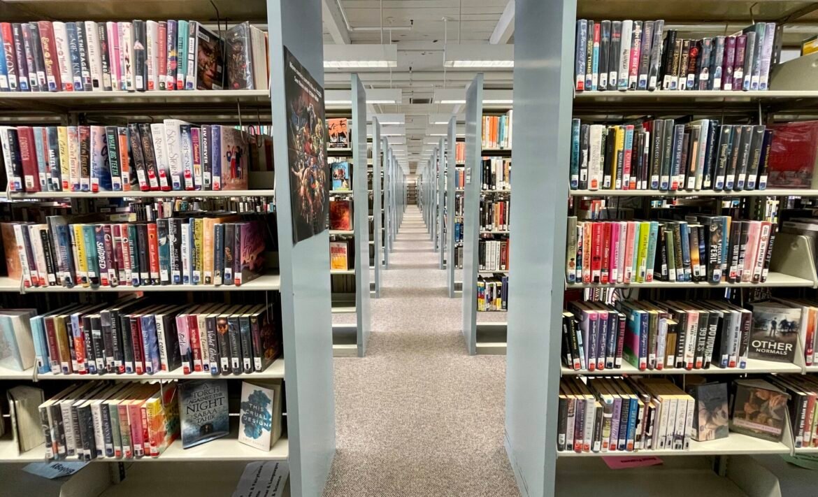 In digital-first era, NJ librarians demand more affordable e-books • New Jersey Monitor