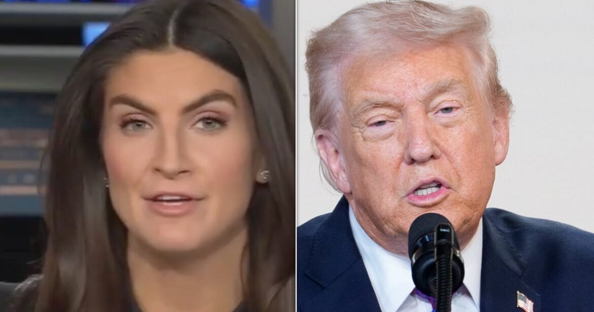 Kaitlan Collins Says 1 Aspect Made Trump’s ‘Smile’ Attack On Her Different