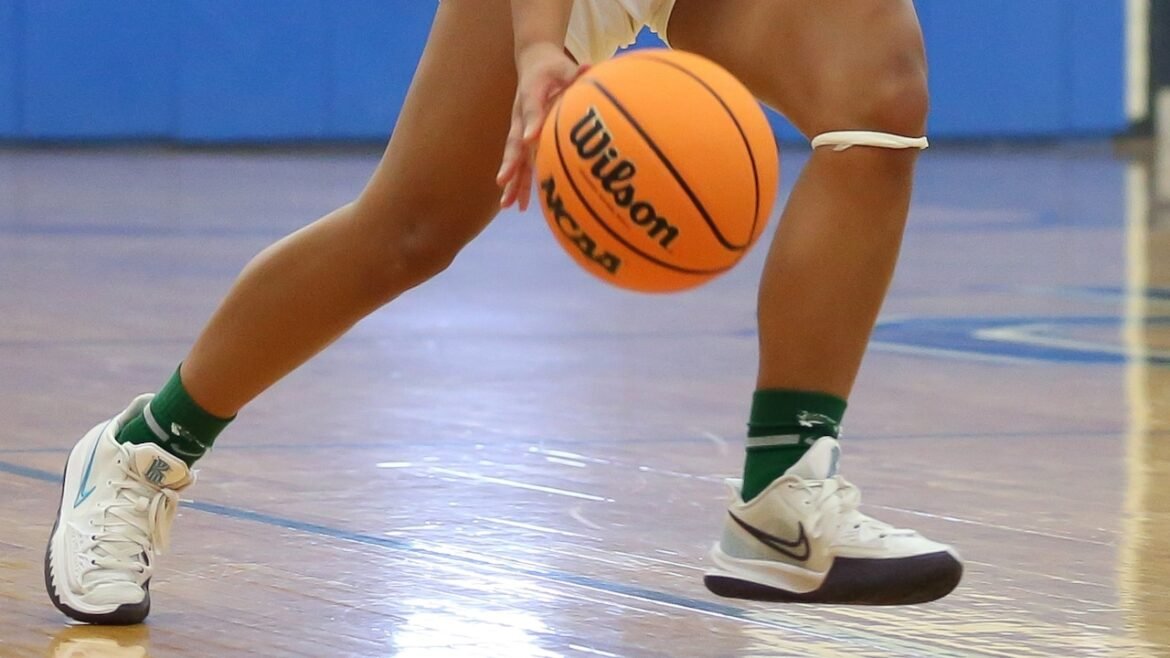 Loffreno, Point Pleasant Beach hold off Henry Hudson late - Girls basketball recap