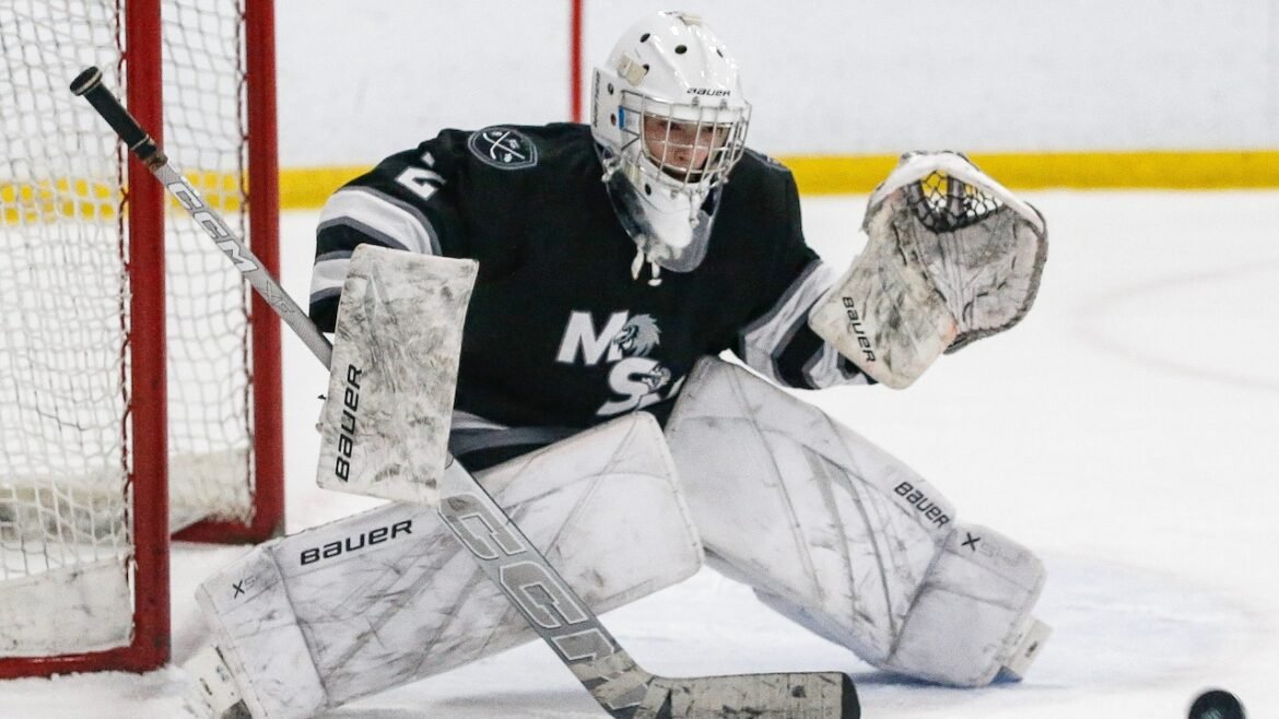 Manalapan, South Brunswick split the points - Boys ice hockey recap