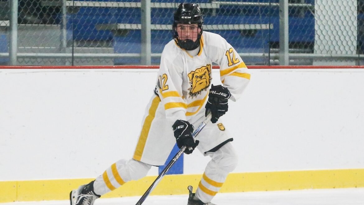 N.J. boys hockey stats leaders from January