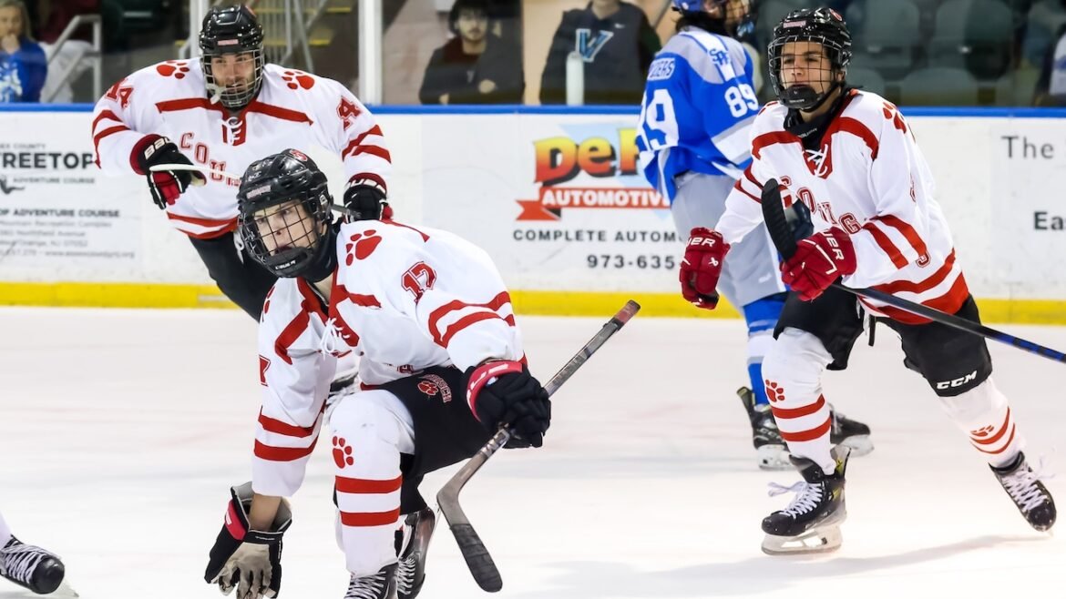 N.J. hockey statewide, conference and more stats leaders for Feb. 18