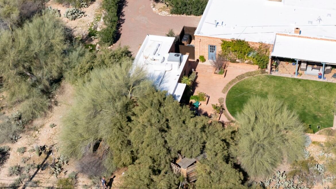 Nancy Guthrie; Ghislaine Maxwell; Super Bowl 60 : NPR