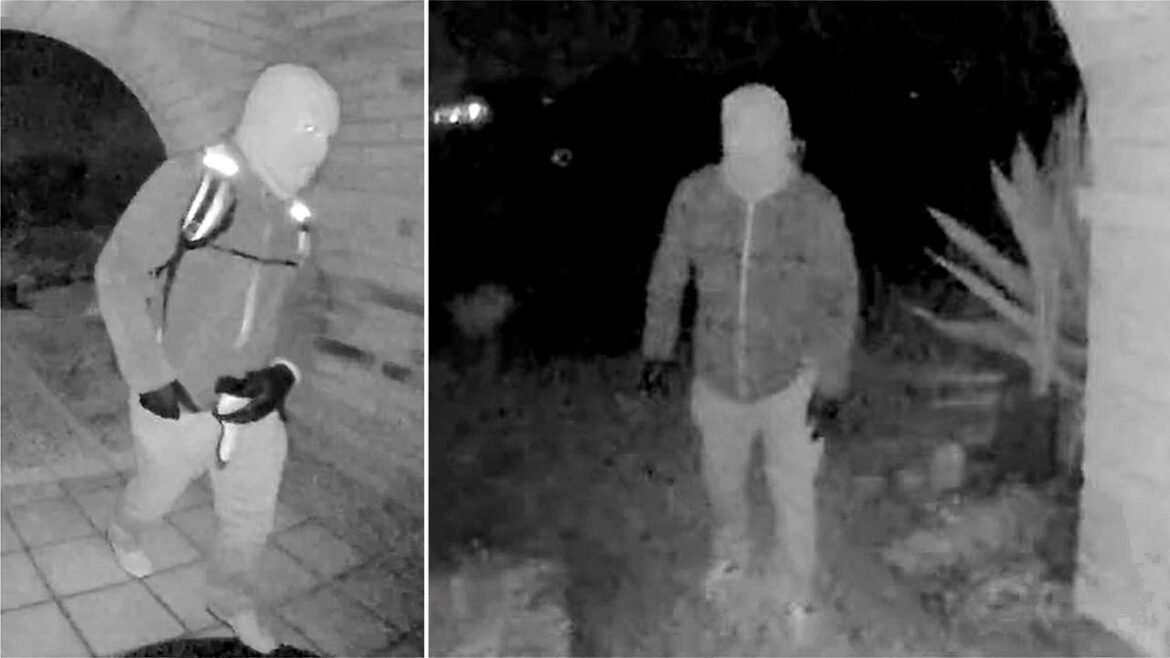 Nancy Guthrie doorbell camera image shows suspect on different dates: source