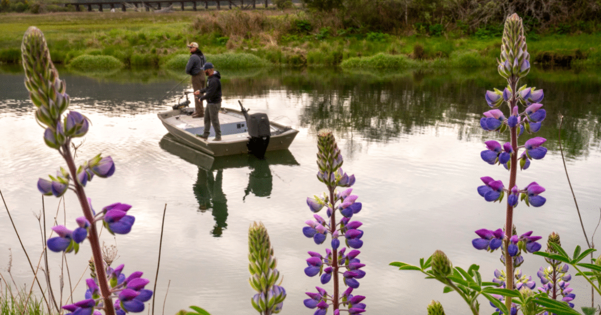 Oregon Bill Would Tax Tourists to Protect Animals and Their Habitats – Mother Jones