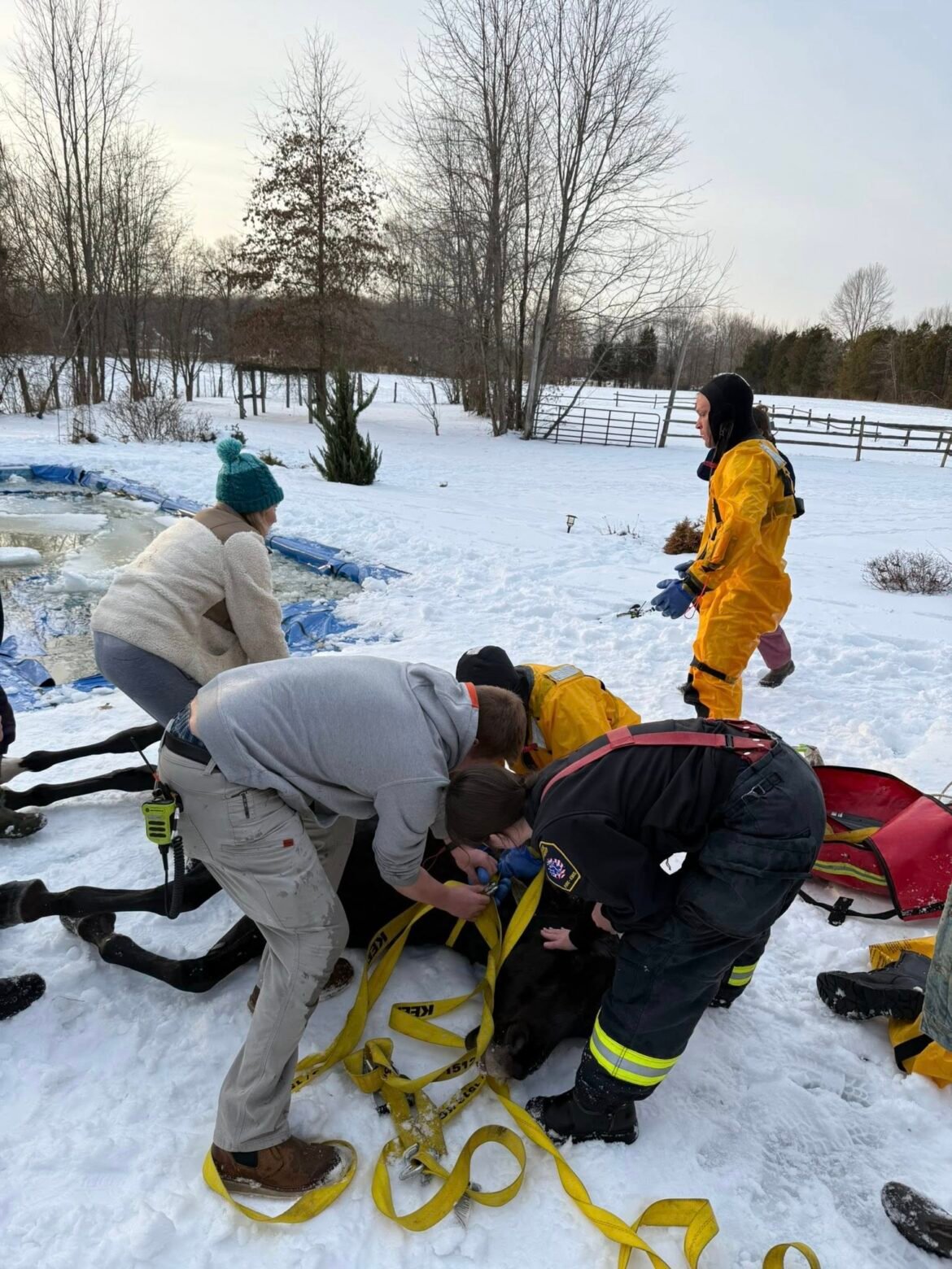 PHOTOS: Ohio firefighters rescue horse from icy...