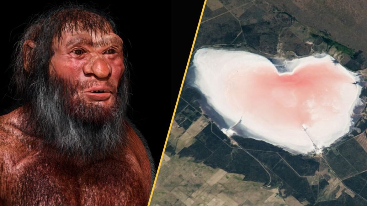On the left, a reconstruction of a Denisovan. On the right, Salinas Las Barrancas.