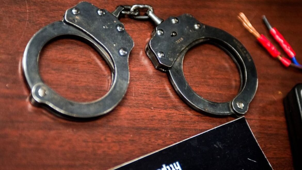 St. Petersburg police officer arrested on domestic battery charge