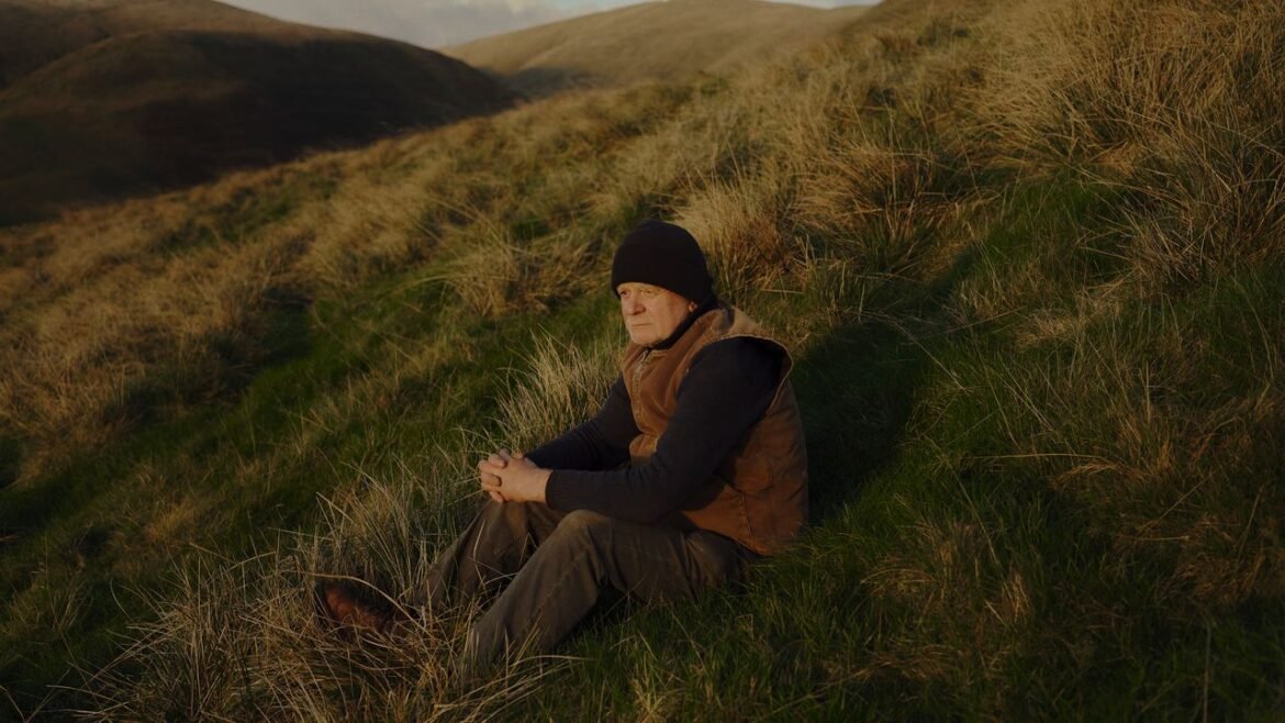 The Landscape Artist Andy Goldsworthy Contemplates His Own Natural Decay