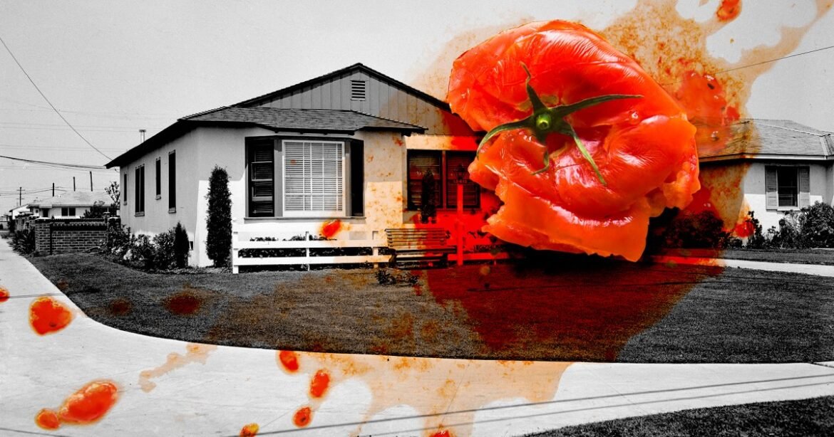 They Just Wanted to Grow Food. Their Suburban Neighbors Declared War. – Mother Jones