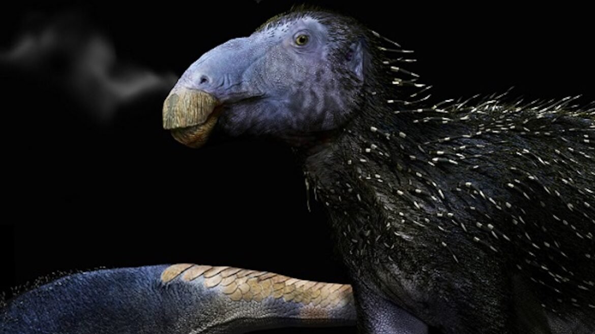 This Strange Spiky Dinosaur Had Skin Unlike Anything We've Ever Seen : ScienceAlert