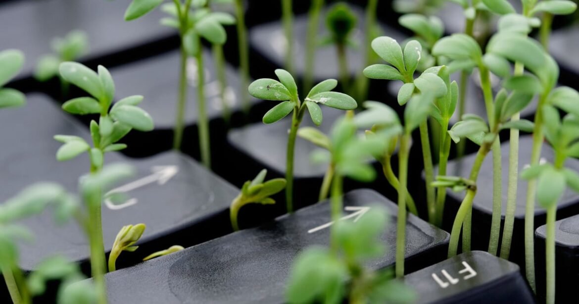 Top Cyber Industry Defenses Spike CO2 Emissions