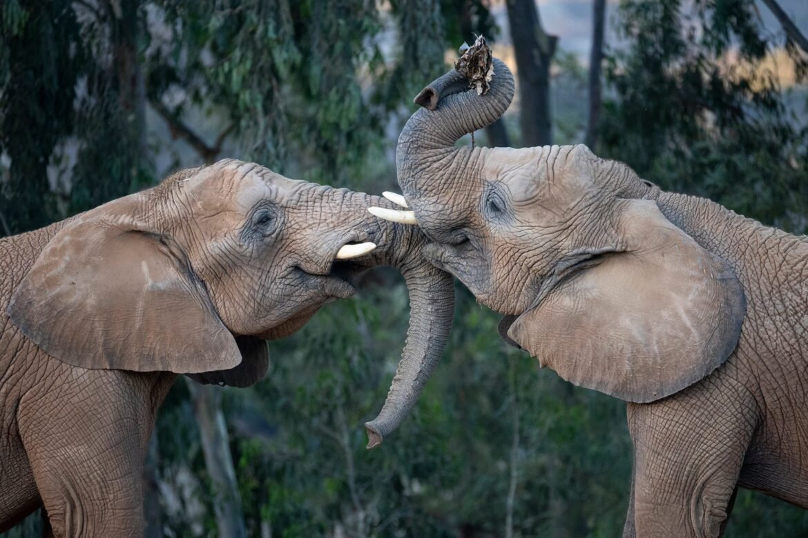 Tourism Outlook is ‘Cautiously Optimistic’ for 2026