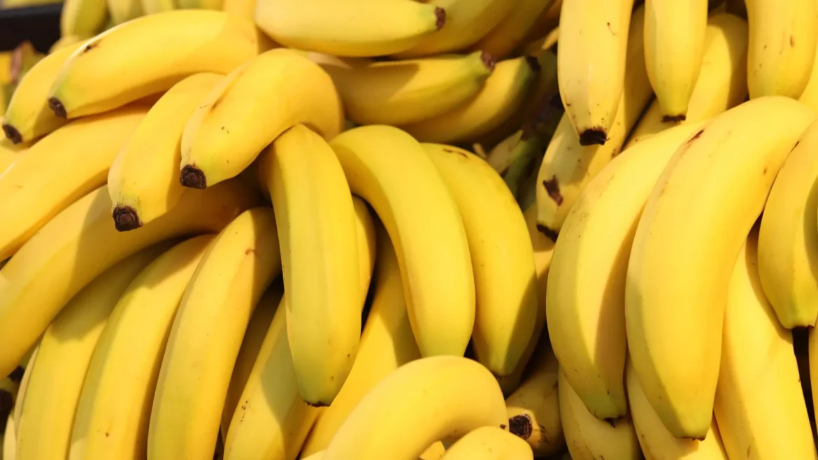 Toxic metals found in bananas after Brazil mining disaster